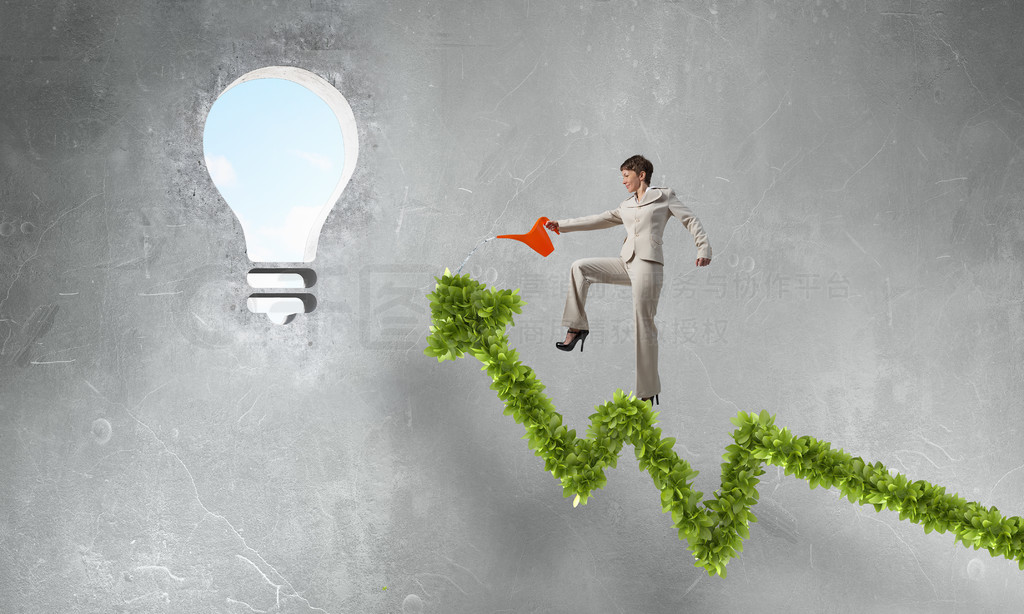 綠色增長圖 女實(shí)業(yè)家通過資產(chǎn)管理實(shí)現(xiàn)收入增長的策略